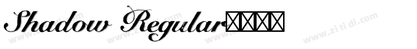 Shadow Regular字体转换